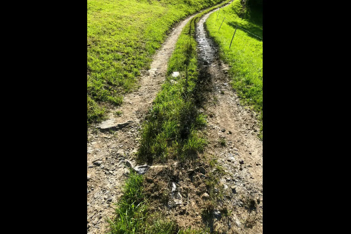 Sargans SG - Öl auf Feldweg - Zeugenaufruf