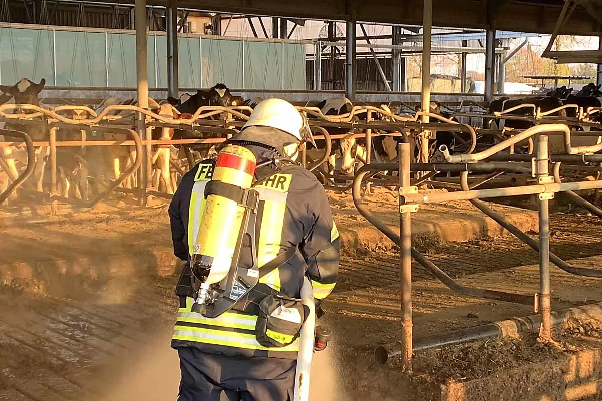 Nordkirchen - Feuer in Kuhstall