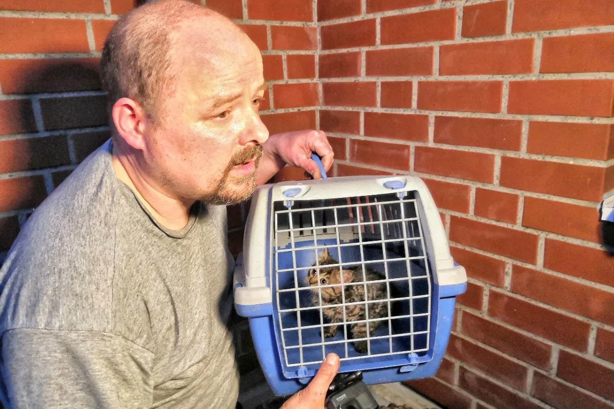 Grevenbroich - Katzenbaby nach 5 Stunden aus Rohr gerettet