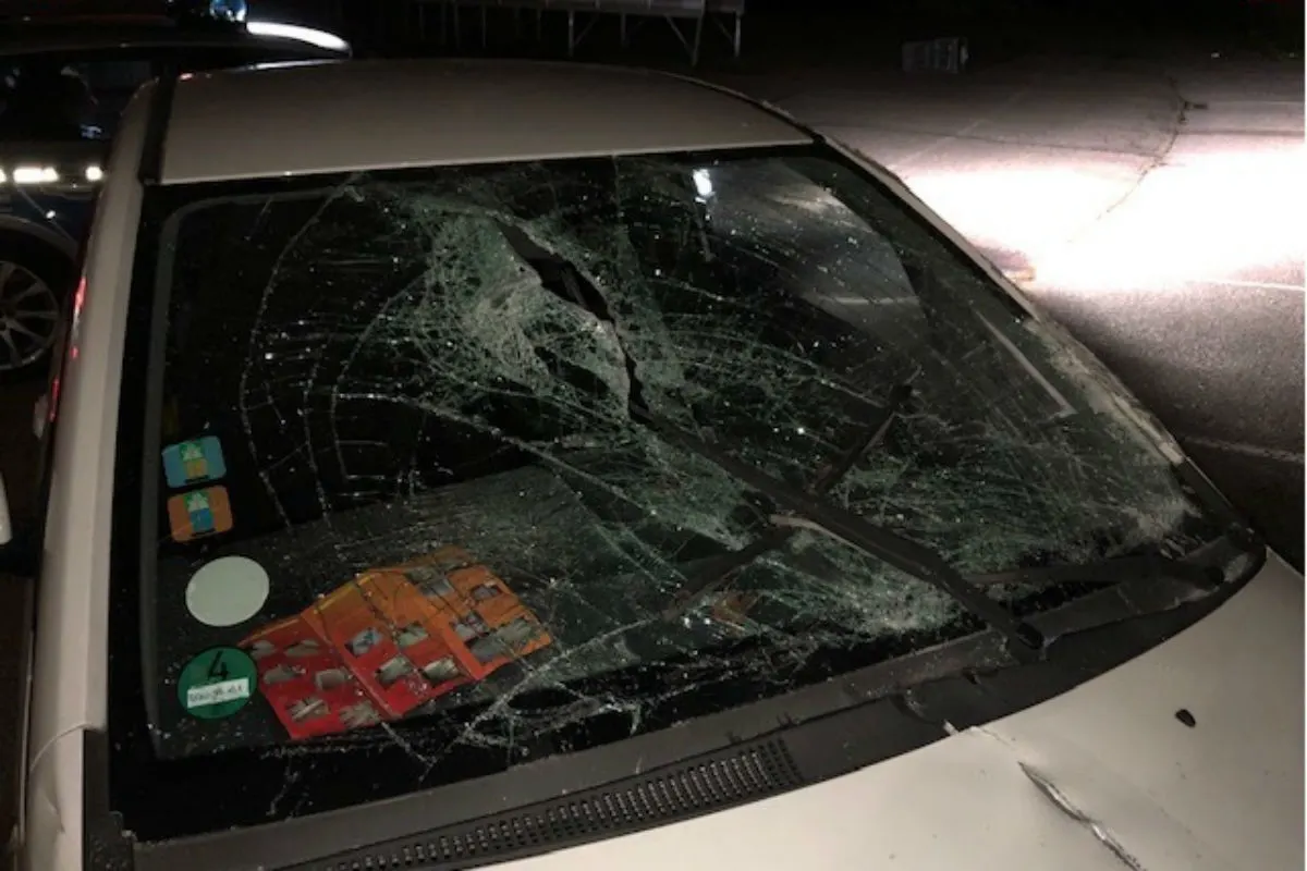 Maximiliansau - Fahrversuche gehen gehörig schief