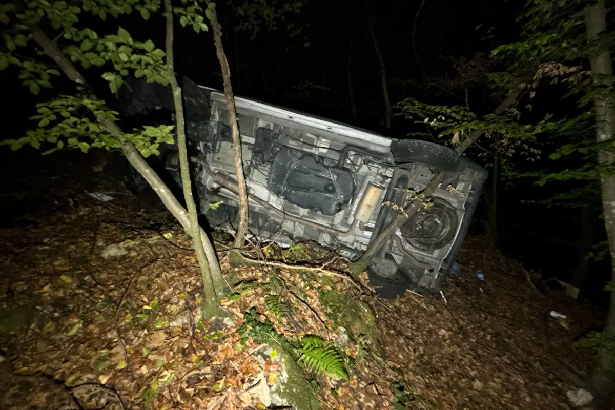 Ein Auto liegt auf der Seite zwischen Bäumen in einem bewaldeten Gebiet. Umgeben von Laub und Ästen.