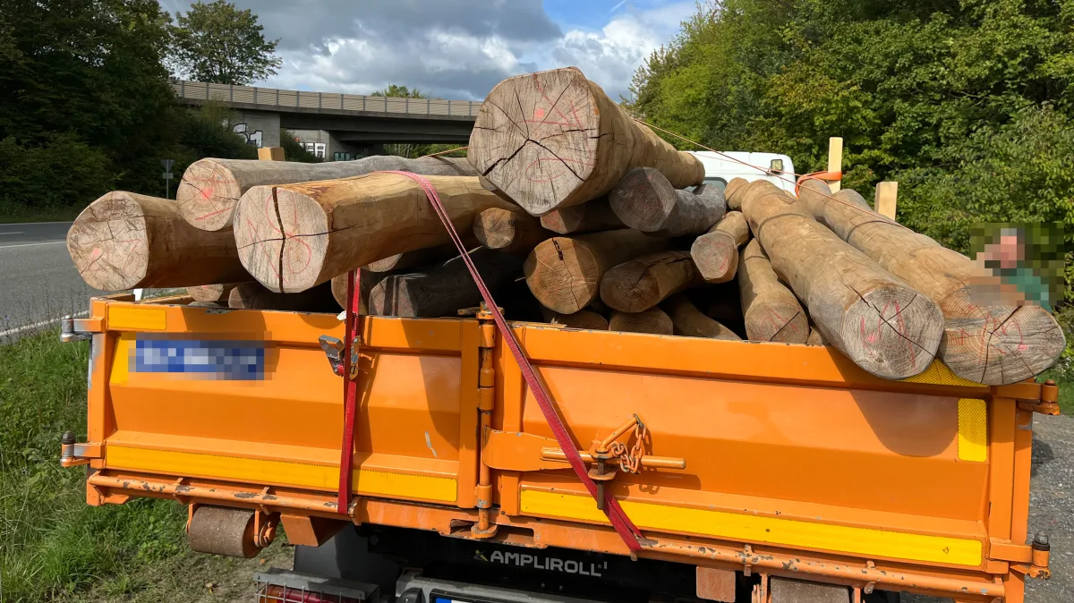 Ein orangefarbener Lastwagen ist auf einer Landstraße mit einem großen Stapel Holzstämme beladen. Im Hintergrund ist eine Brücke sichtbar.