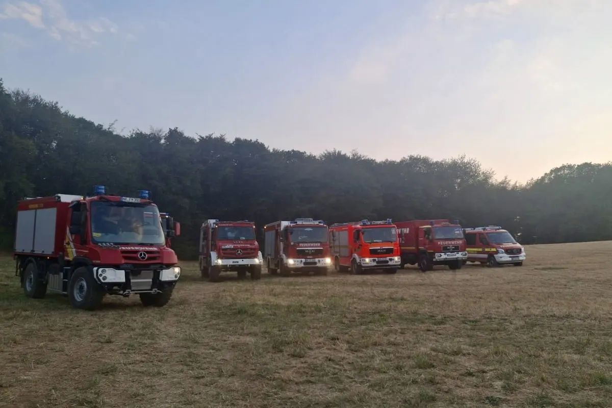 Es sind mehrere rote Feuerwehrfahrzeuge auf einem offenen Feld zu sehen. Im Hintergrund ist ein Wald bei Dämmerung.