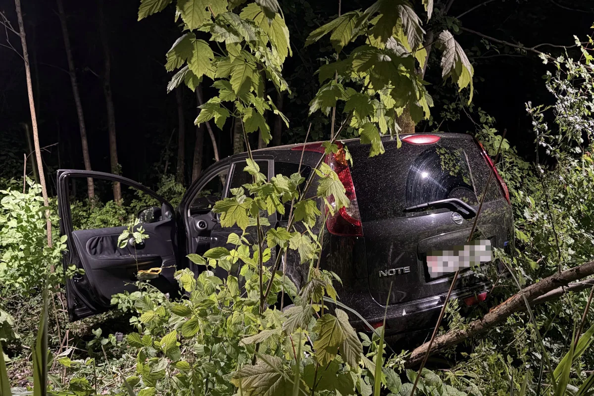 Ein schwarzes Auto steht im dichten Wald. Die Tür ist geöffnet und es ist Nacht.