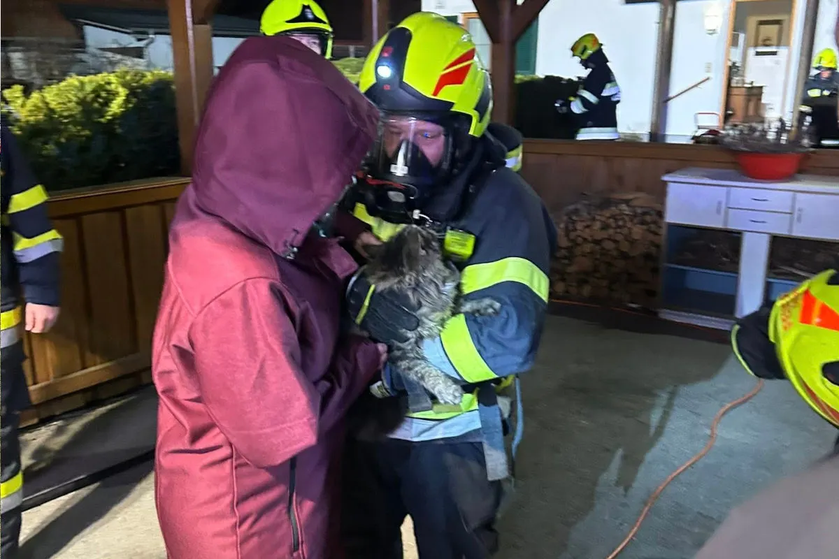 Gralla – Feuerwehr rettet Katze bei Kellerbrand