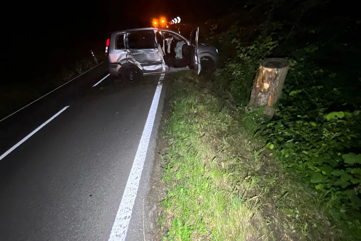 Ein silbernes Auto mit sichtbaren Schäden steht am Rand einer nächtlichen Landstraße neben einem Baumstumpf.