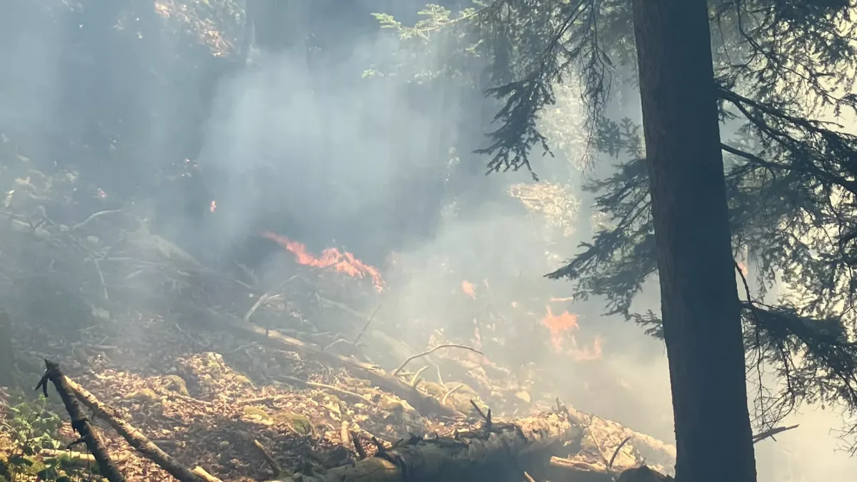 In einem Waldstück sind Rauchschwaden und kleinere Flammen zu sehen. Das Gelände ist dicht bewachsen und voll von trockenen Ästen.