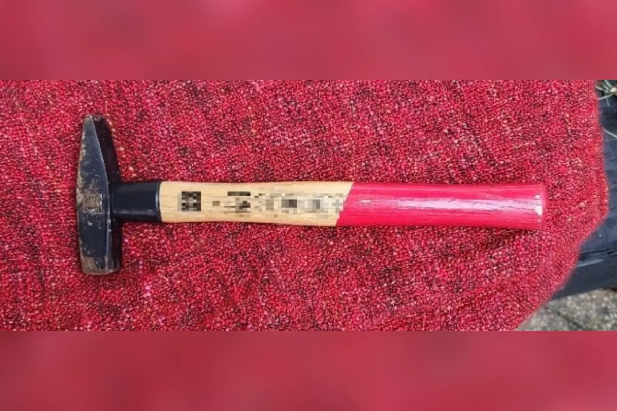 Wien – Sohn geht mit Hammer auf Mutter los