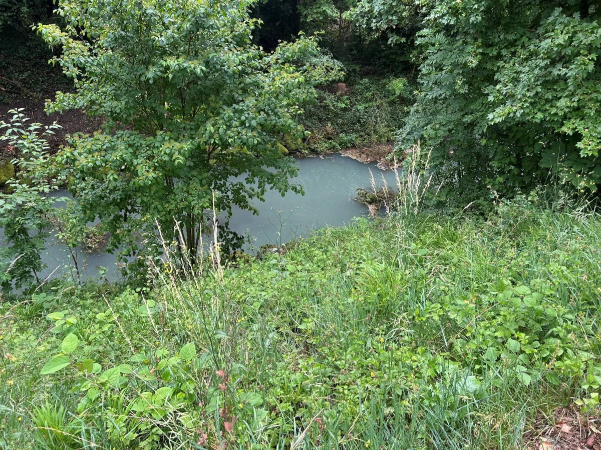 Ein beruhigender Anblick eines kleinen Flusses oder Bachs, eingebettet in dichten, grünen Pflanzenwuchs. Die Bäume und Sträucher rahmen das Wasser sanft ein und schaffen eine natürliche, ruhige Szenerie.