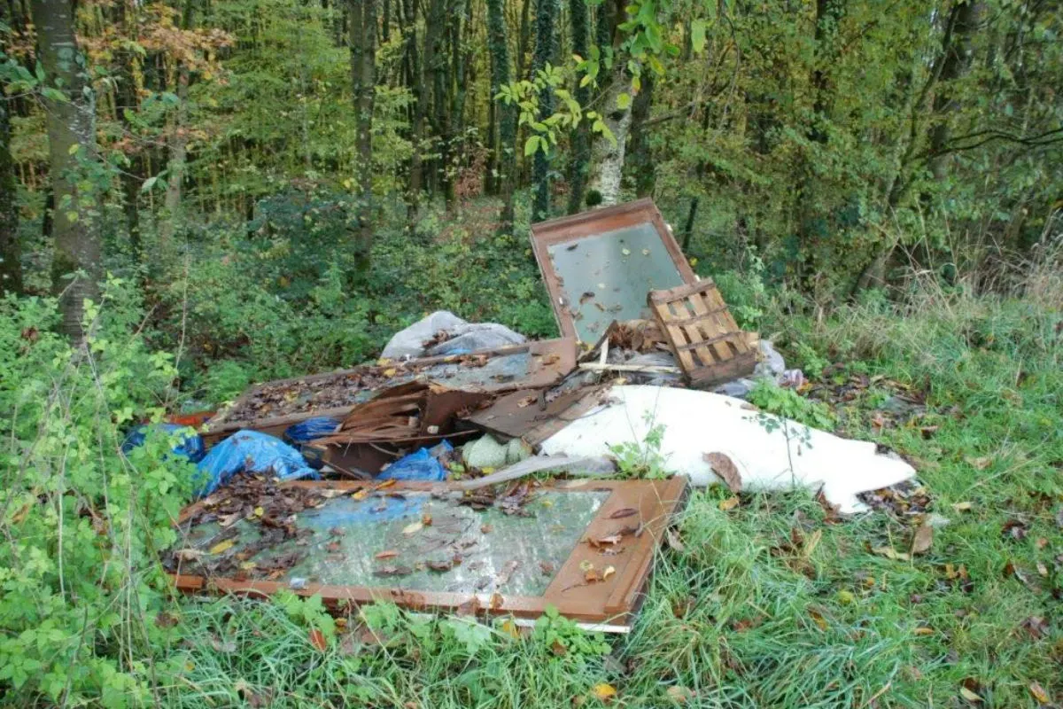 Walshausen - Renovierungsabfall illegal entsorgt - Zeugenaufruf