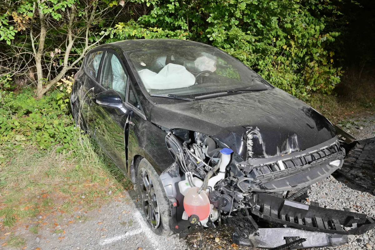 Ein schwarzes Auto mit stark beschädigter Front steht im Grünen, umgeben von Bäumen und Gras. Der Airbag ist im Inneren aufgeblasen.