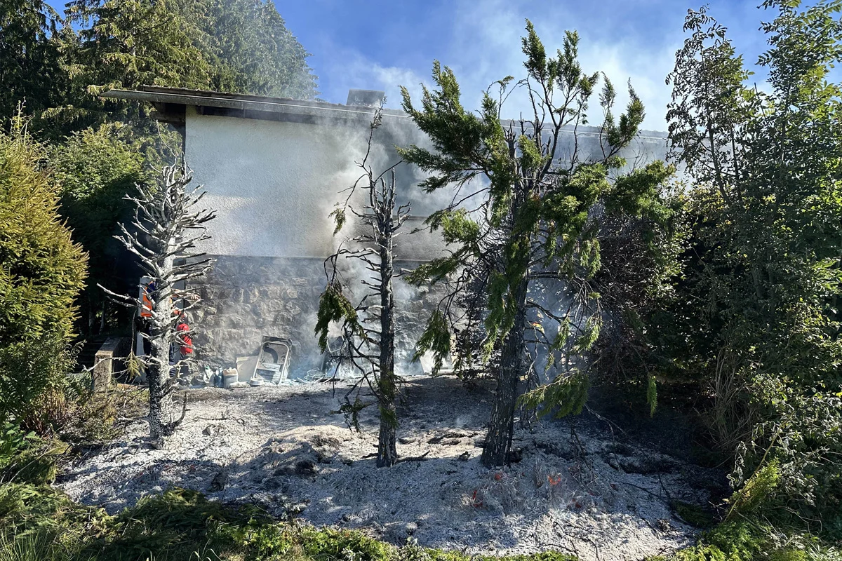 Ein Brand hat mehrere Bäume vor einem Gebäude verkohlt. Der Bereich ist stark verraucht.