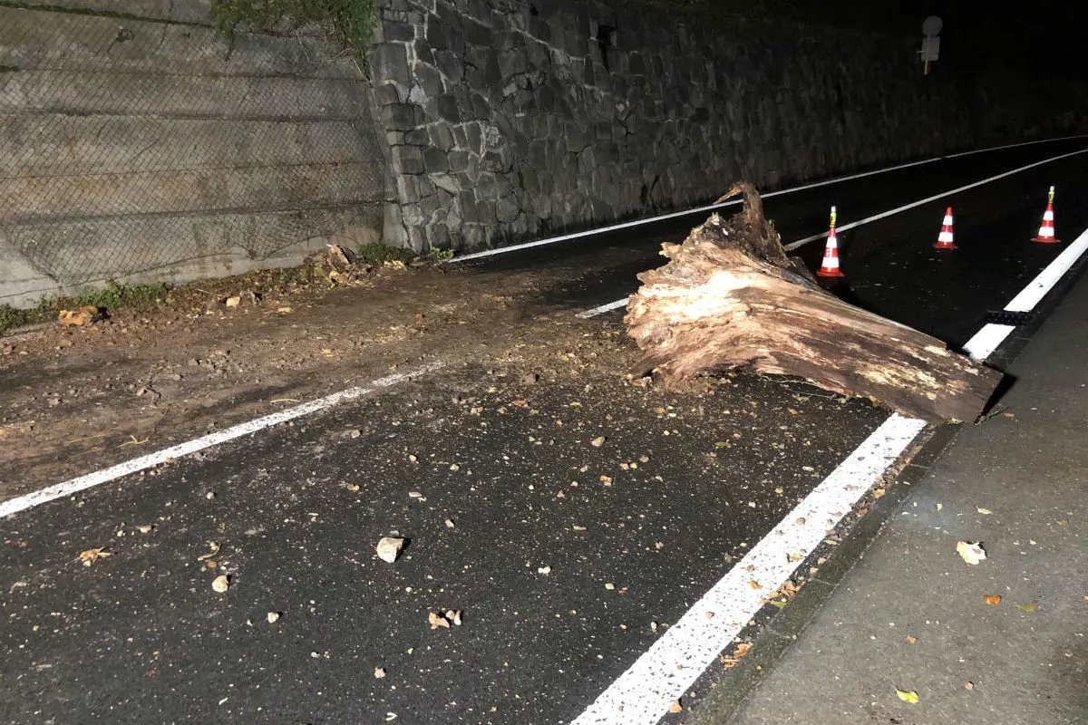 Brunnen SZ - Morscher Baumstrunk fiel auf Axenstrasse - zwei Autos beschädigt!