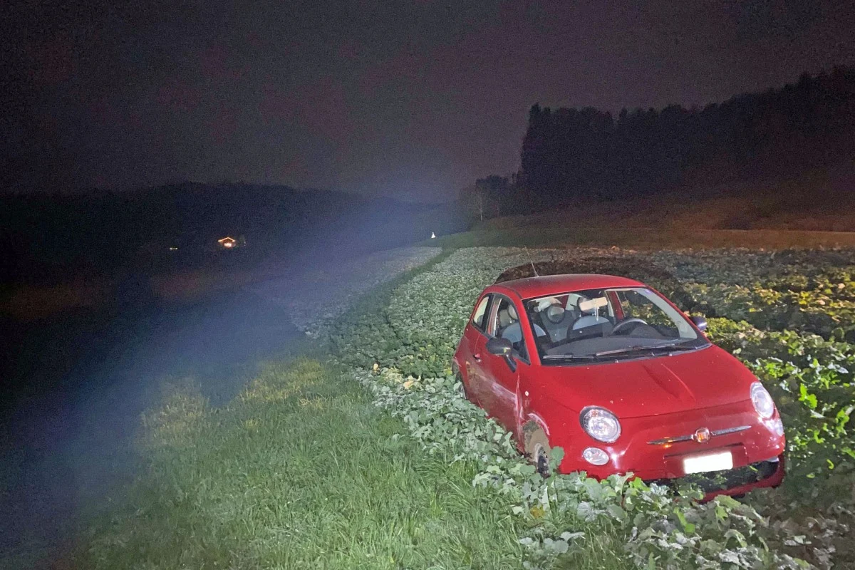 Wikon LU - Alkoholisierte Lenkerin gerät ins Wiesland