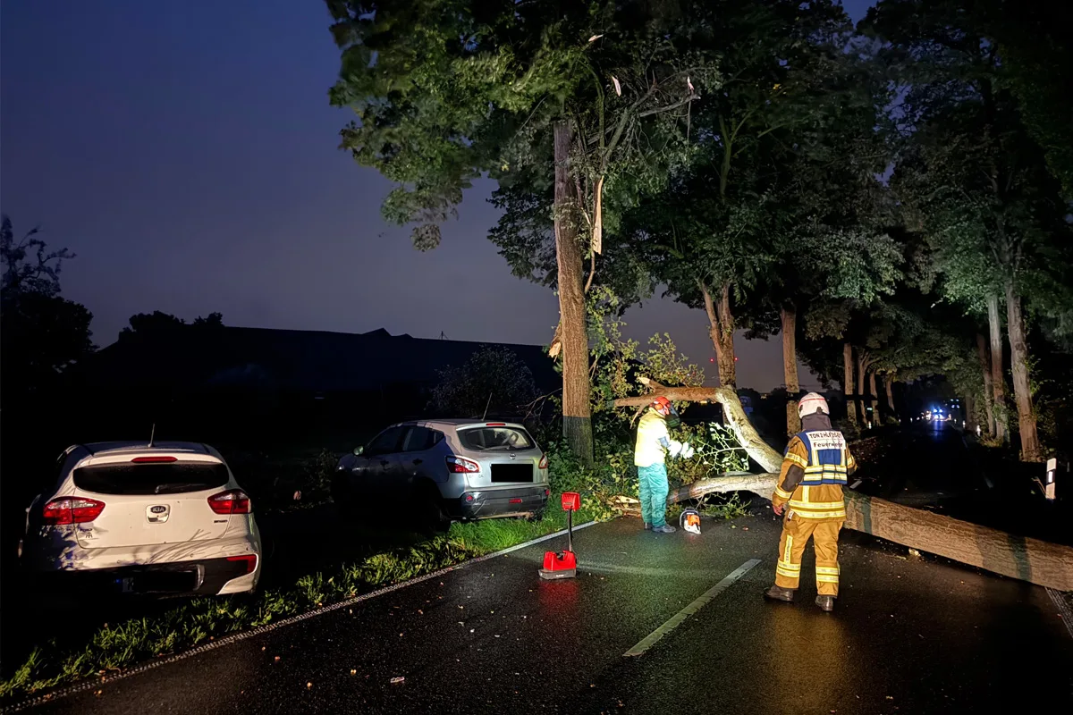 Tönisvorst NW – Umgestürzter Baum verursacht Unfall