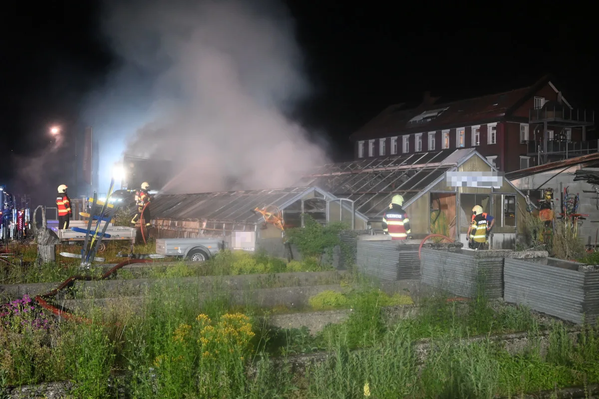 Ein Gewächshaus steht in der Nacht in Flammen, während Feuerwehrleute mit Schläuchen den Brand löschen. Starker Rauch ist sichtbar.