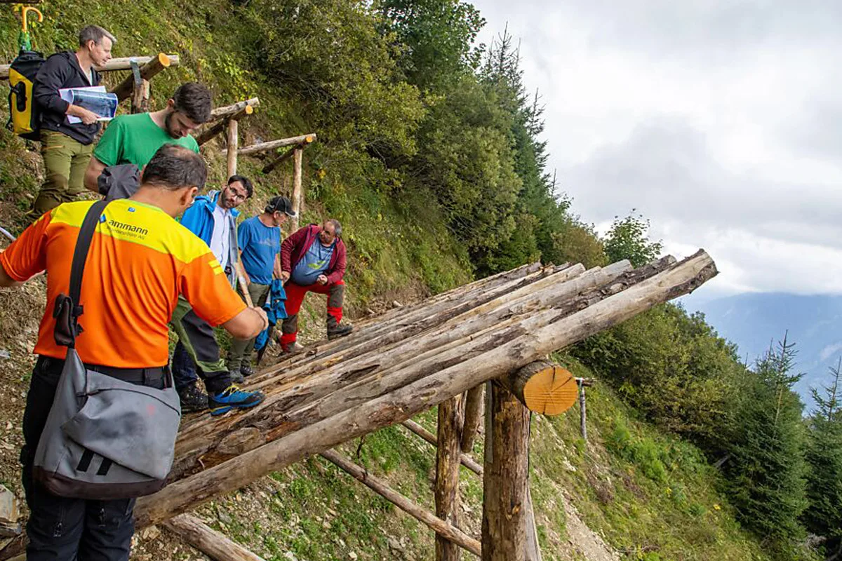 Eine Gruppe von Menschen begutachtet eine hölzerne Schutzkonstruktion am Rande eines bewachsenen Berghangs. Sie tragen Freizeit- und Outdoor-Kleidung.