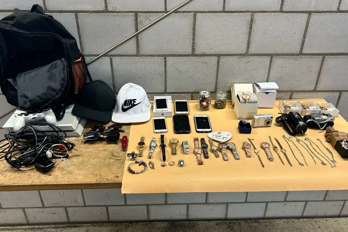 Rheinfelden AG - Zollkontrolle entlarvt Einbrecher