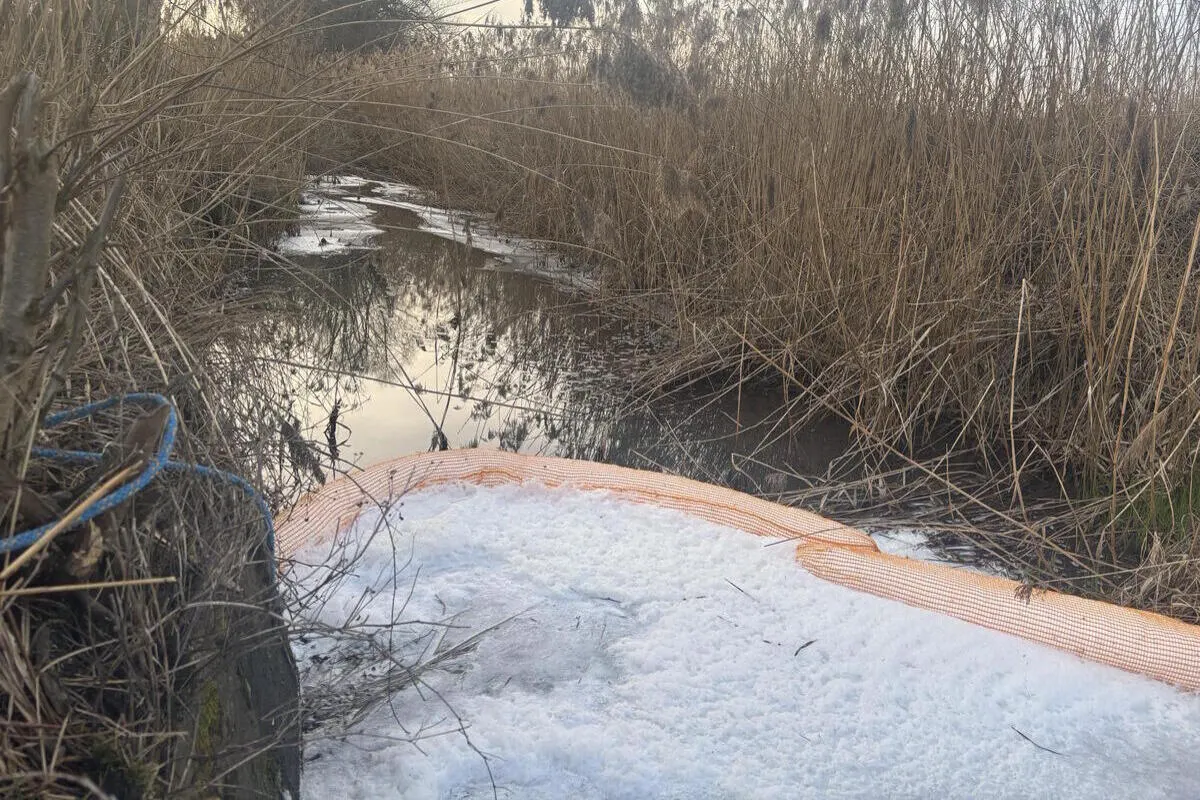 Altenrhein SG – Löschschaum gelangt in Gewässer