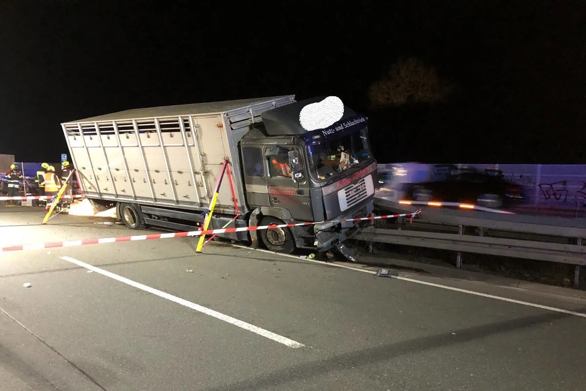 A33 Paderborn-Sennelager – Unfall mit Viehtransporter auf der Autobahn