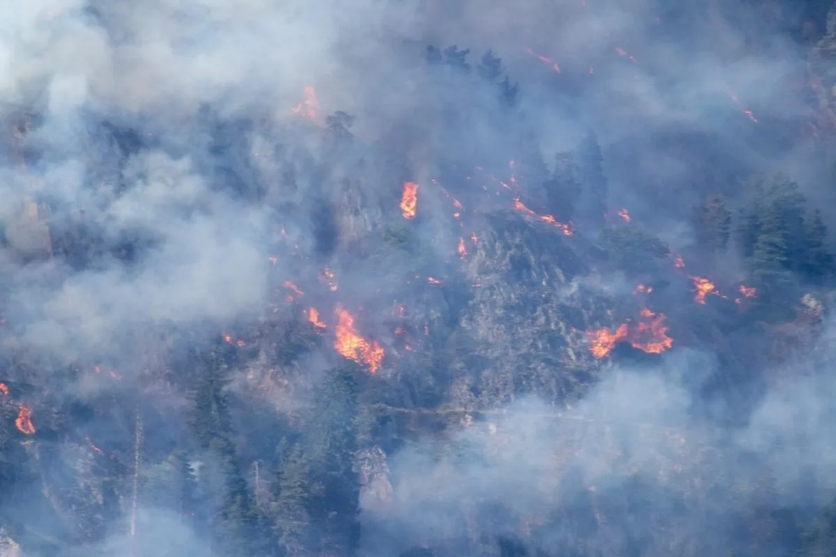 Bitsch VS - Waldbrand noch nicht unter Kontrolle - Ortschaften mussten evakuiert werden