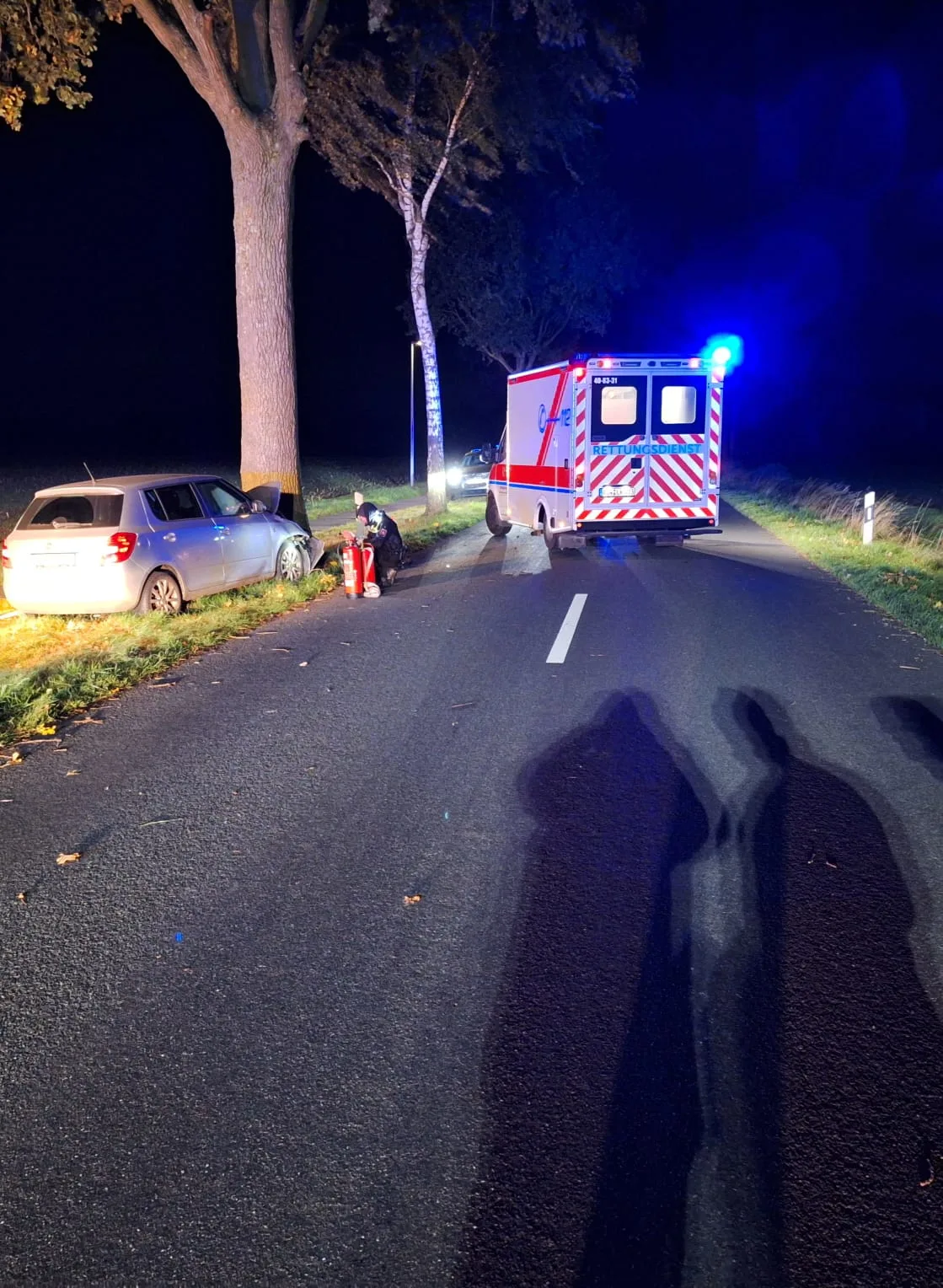 Ein Auto ist gegen einen Baum gefahren, daneben steht ein Rettungswagen. Es ist Nacht und die Straße ist beleuchtet.