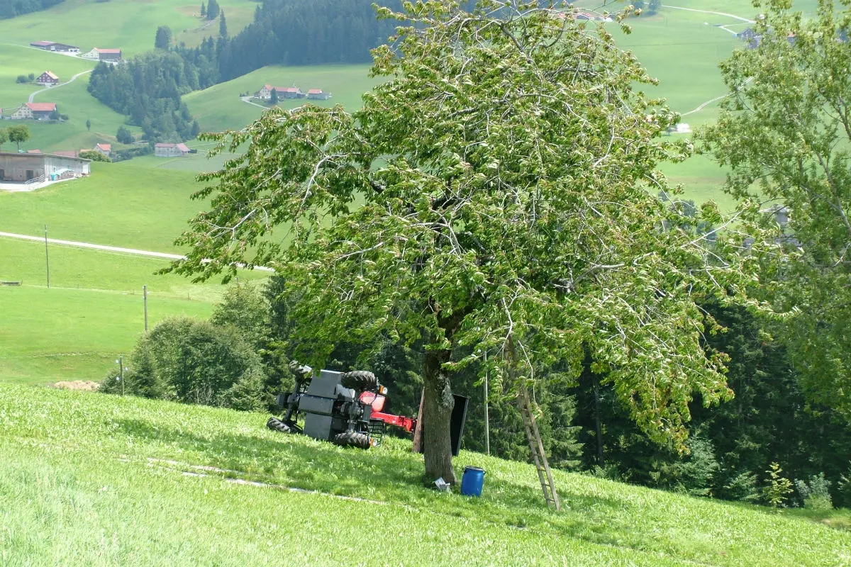 Schönengrund SG - Teleskoplader stürzt auf Landwirt