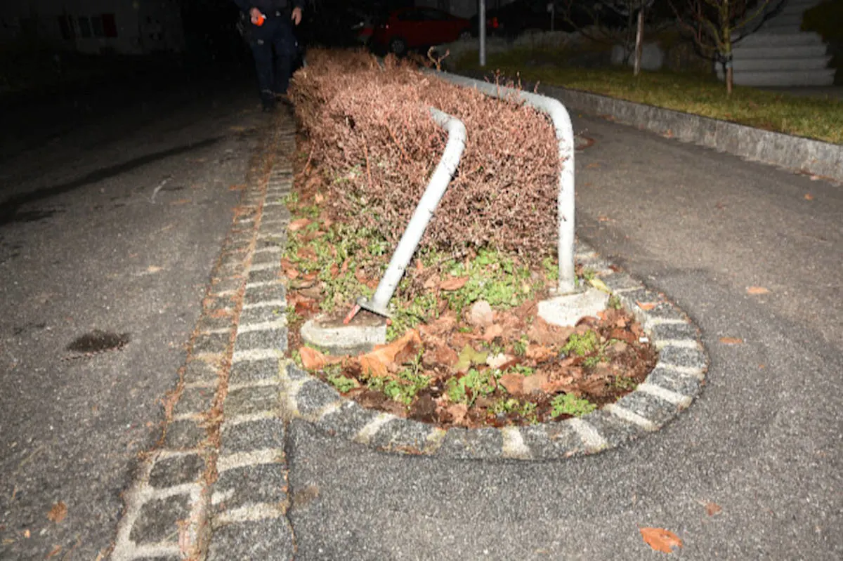 Mauren FL - Unfall nach ausweichen vor Katze