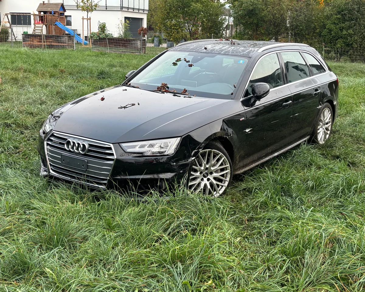 Ein schwarzer Audi steht schräg auf einer grasbedeckten Wiese. Im Hintergrund sind Spielgeräte und Häuser sichtbar.