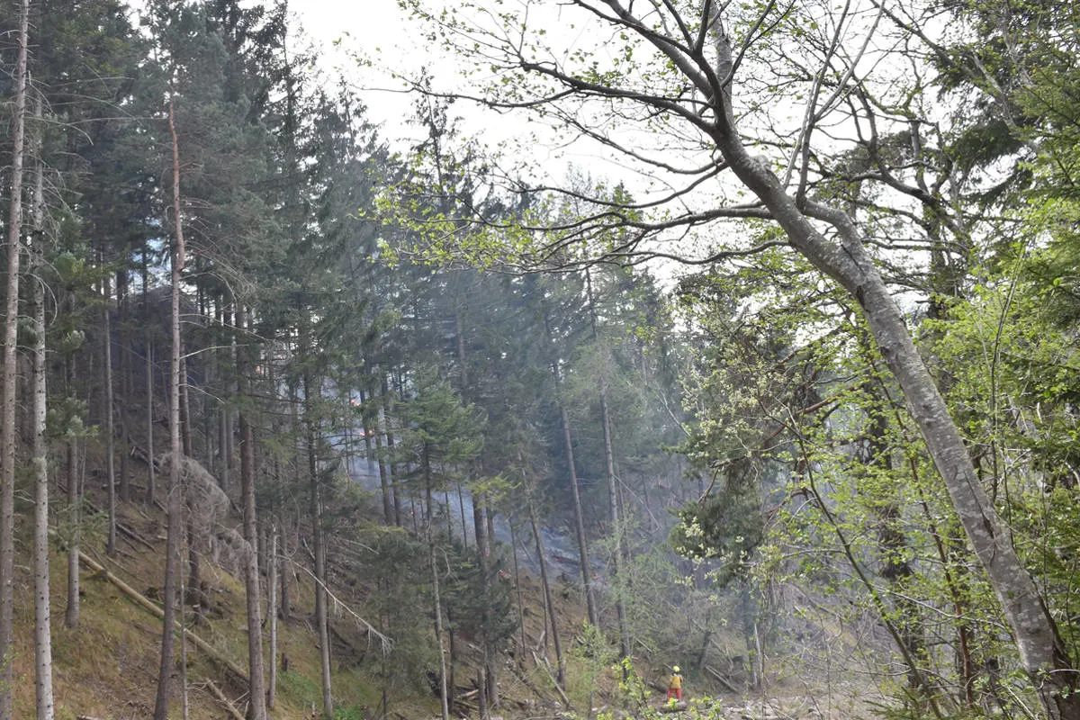Zizers GR - Feuerwehr- und Helikoptereinsatz wegen Waldbrand