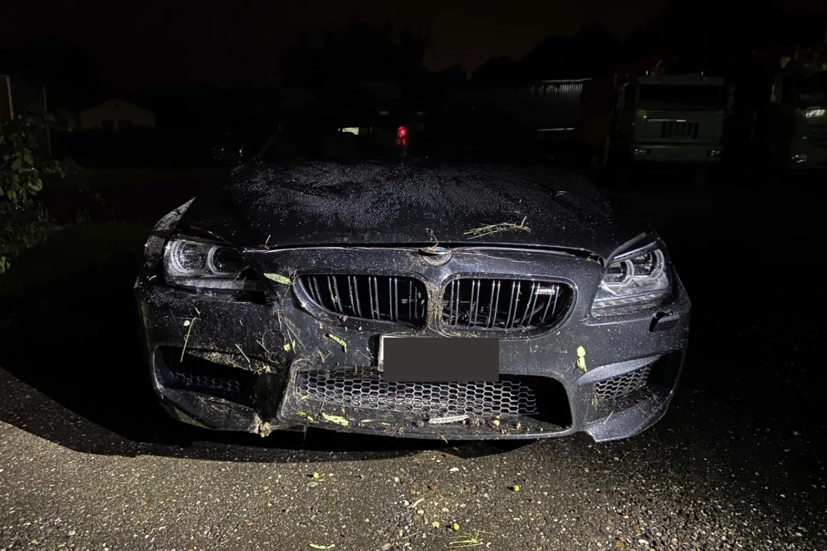 Klingnau AG - BMW geriet auf der nassen Strasse von der Fahrbahn – Neulenker unverletzt