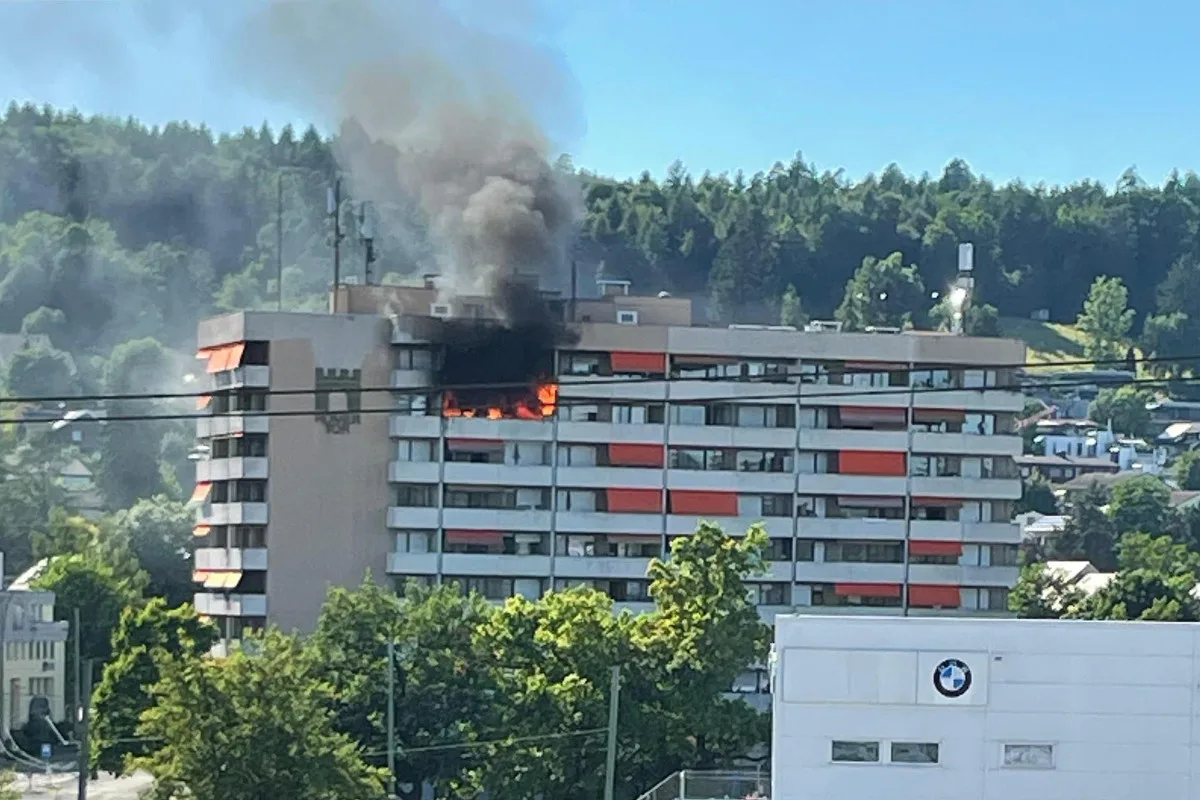 Winterthur ZH – Drei Katzen bei Brand aus Wohnung gerettet