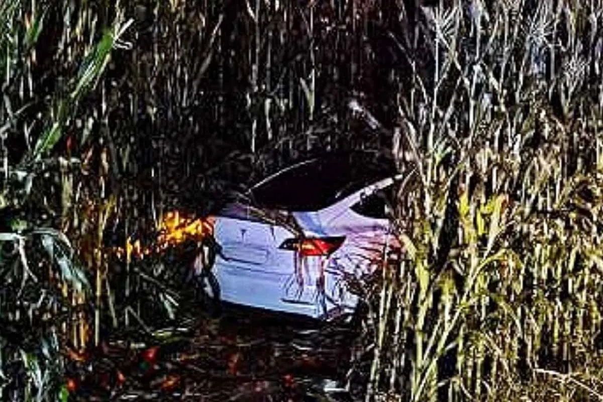 Spektakulärer Unfall in Kirchbichl - Tesla landet in Maisfeld