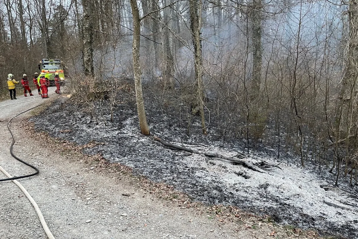 Oberneunforn TG - Brand von Waldboden