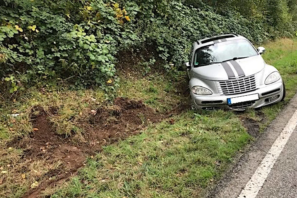 Rodenbach - Maus verursacht Verkehrsunfall