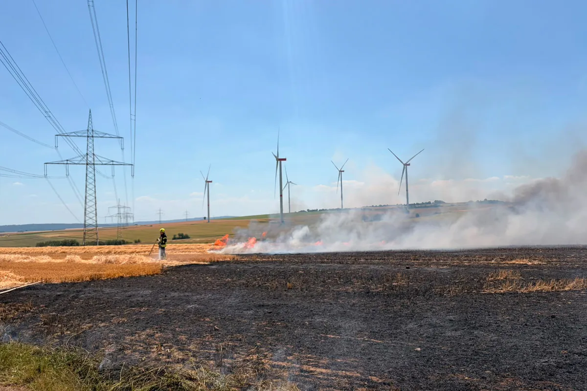 Ein Feuerwehrmann in Schutzkleidung löscht ein brennendes Feld. Im Hintergrund sind Windräder und Hochspannungsleitungen zu sehen.