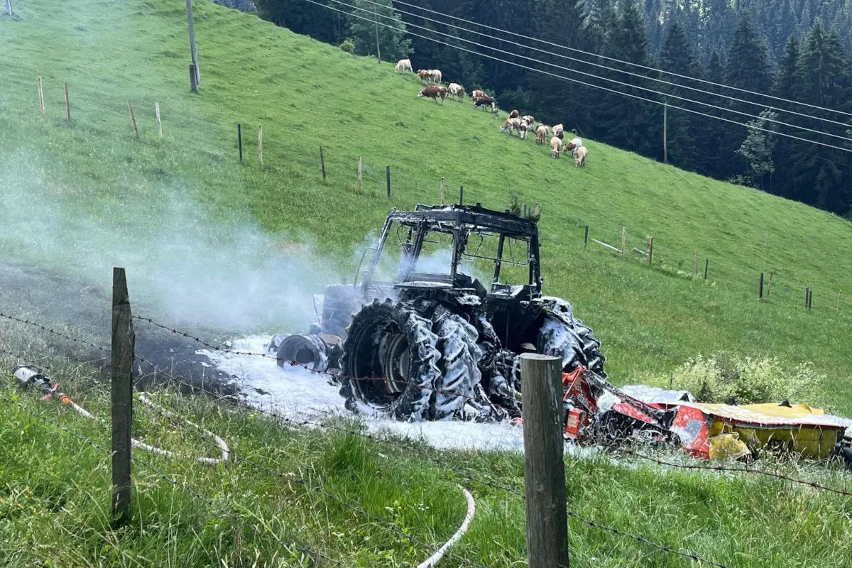 Ein Traktor ist vollständig ausgebrannt und raucht, umgeben von einer grünen Weidelandschaft und Kühen im Hintergrund.