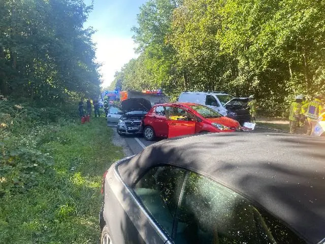 Auf einer Waldstraße sind bei Tageslicht mehrere Fahrzeuge im Stau zu sehen. Im Hintergrund arbeiten Einsatzkräfte.