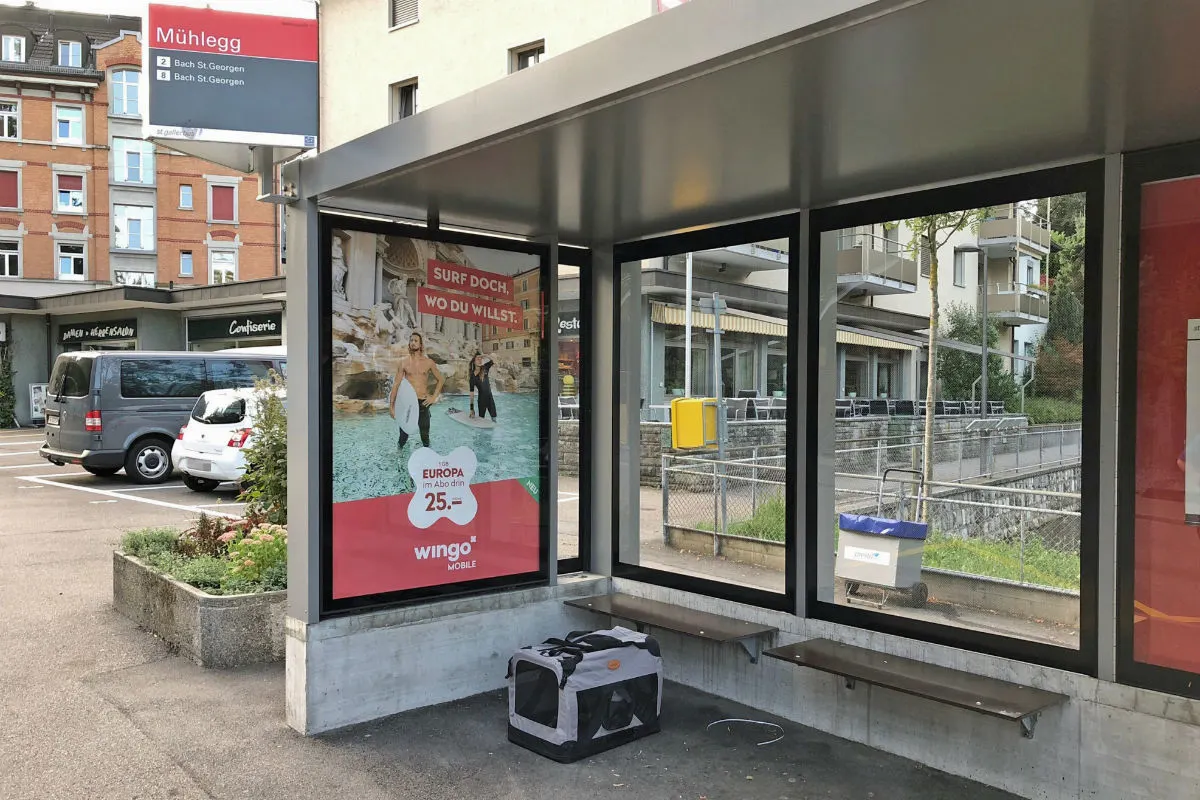 St.Gallen SG - Wer hat seine Katze an der Bushaltestelle vergessen?