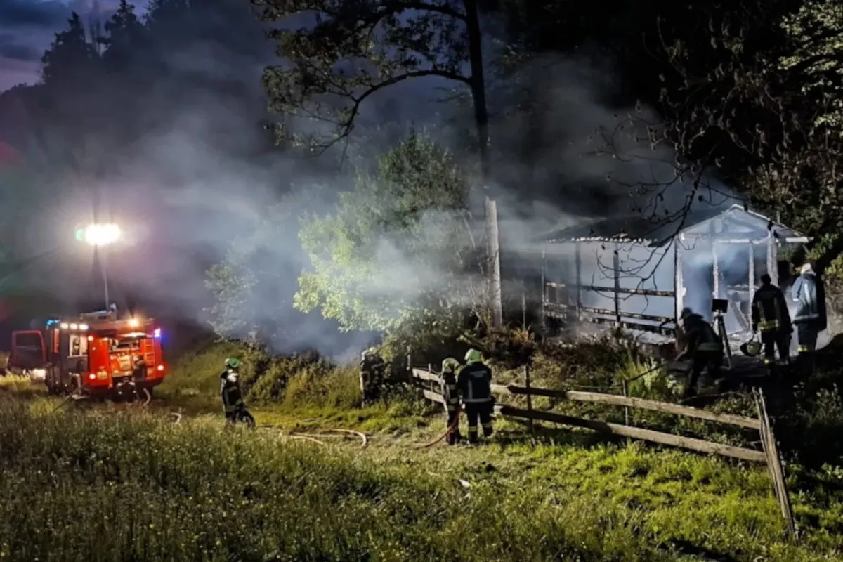 In einem Waldgebiet brennt ein Gebäude, das von Feuerwehrleuten mit einem Löschfahrzeug gelöscht wird. Dichter Rauch steigt in die Nacht auf.