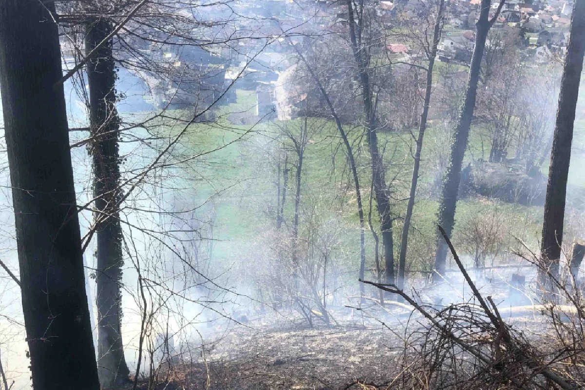 Heiligkreuz (Mels) SG - Waldstück in Brand geraten