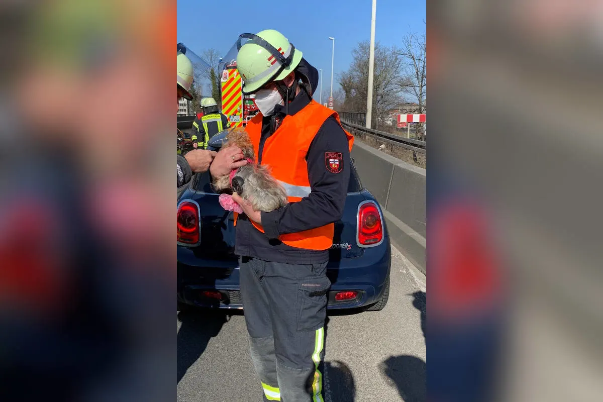 A565 Bonn – Unfall fordert zwei verletzte Personen