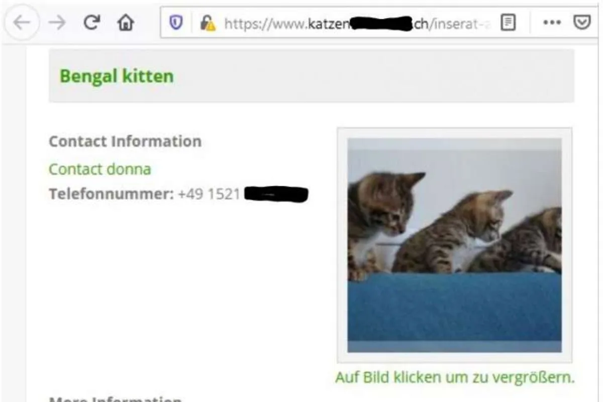 Warnung – Betrüger locken mit süssen Tierbabys!