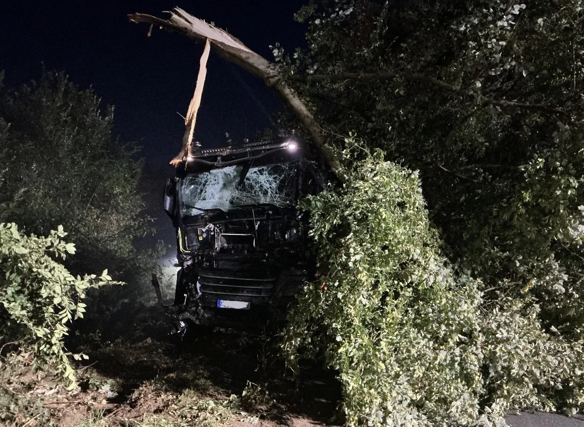 Ein Lastwagen ist bei Nacht frontal mit einem Baum kollidiert, der Stamm ragt in die Windschutzscheibe. Äste umgeben das Fahrzeug in einer ländlichen Umgebung.
