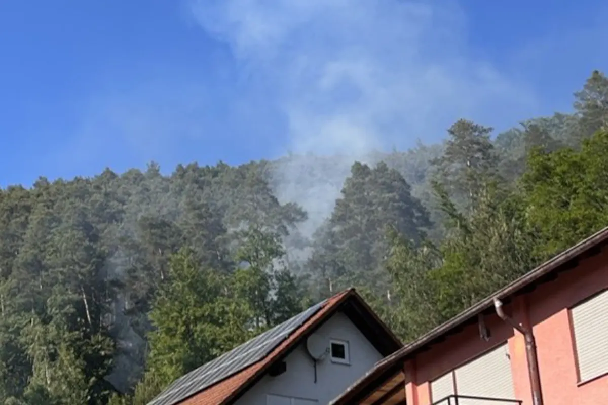 In einem Waldgebiet steigt Rauch auf, während im Vordergrund die Dächer von Wohnhäusern unter klarem Himmel sichtbar sind.