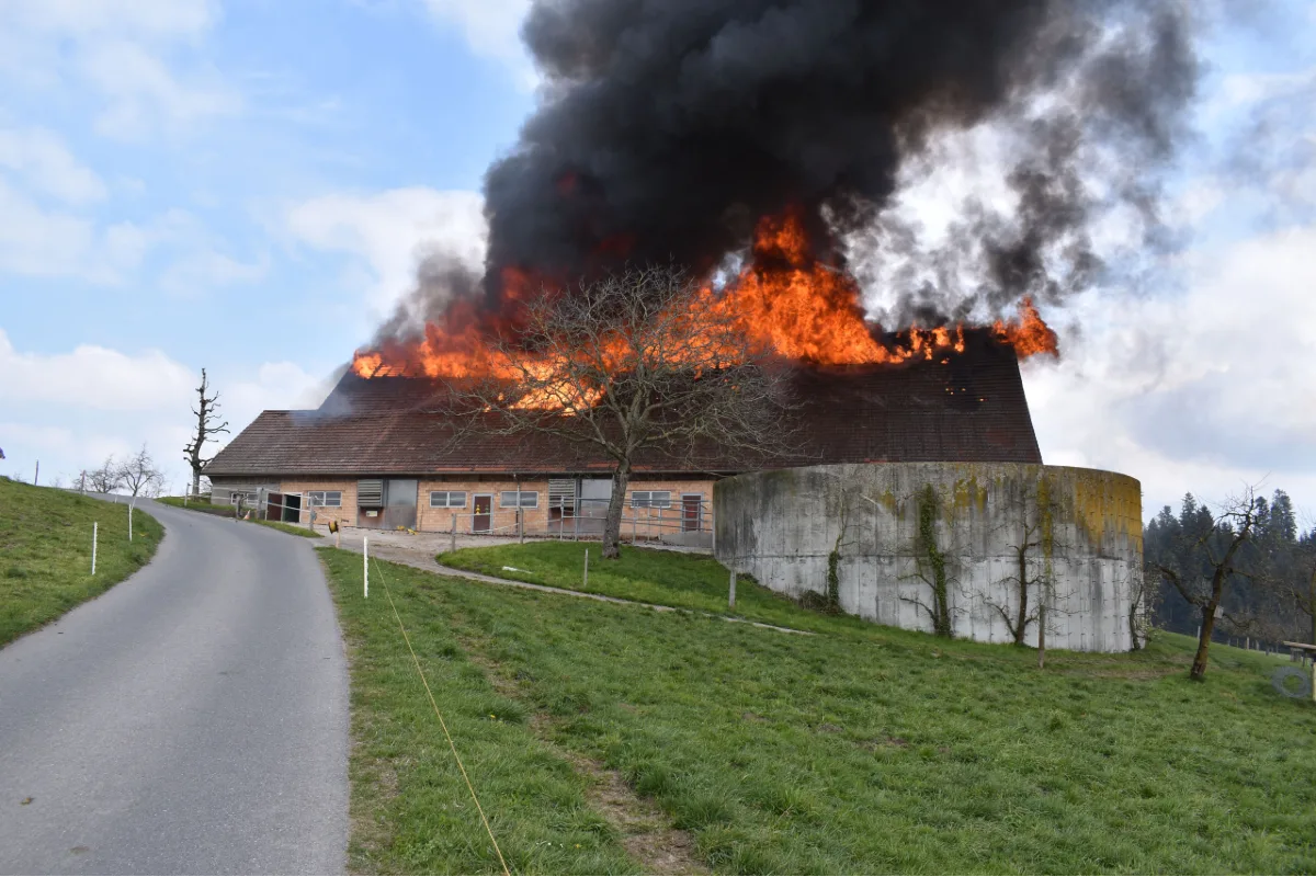 Ruswil LU - 90 Tiere vor den Flammen gerettet!