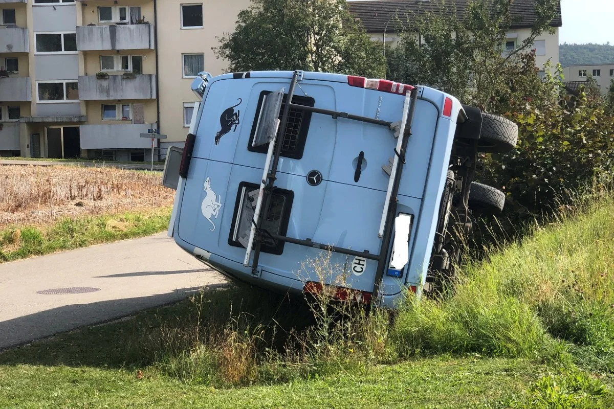 Beringen SH - Wohnmobil nicht korrekt gesichert - Lenkerin und 5 Hunde mussten aus dem Fahrzeug im Bach gerettet werden