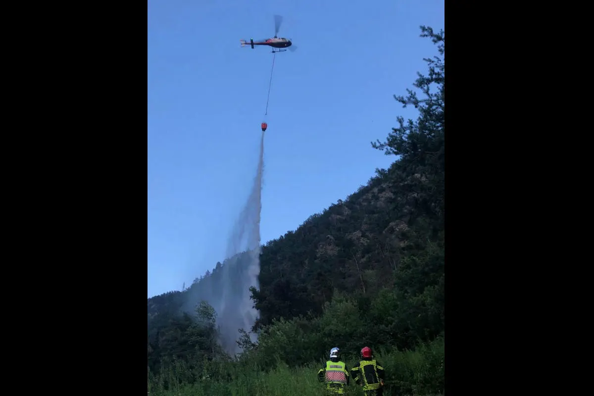 Riddes VS - Wald durch Brand zerstört