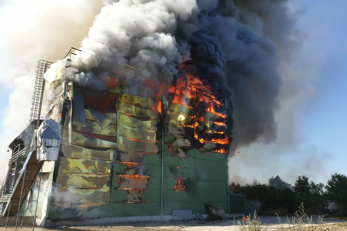 Über 86'000 Legehennen bei Brand in Hühnerstall verendet