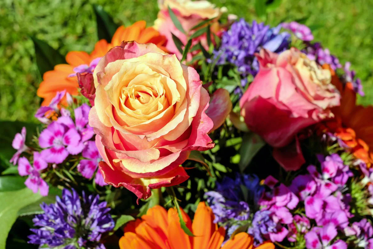 Baar ZG - Diebische Blumenpflücker verhaftet 